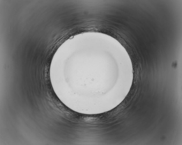 X0000115480268200912181215