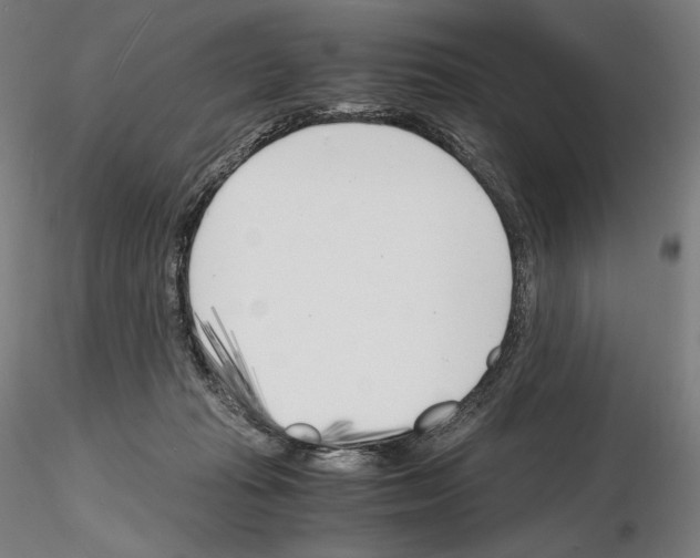 X0000115480269200912181215