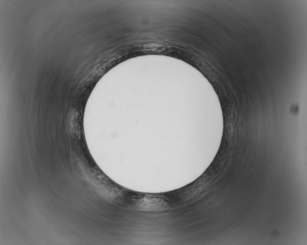 X0000115480270200912181215