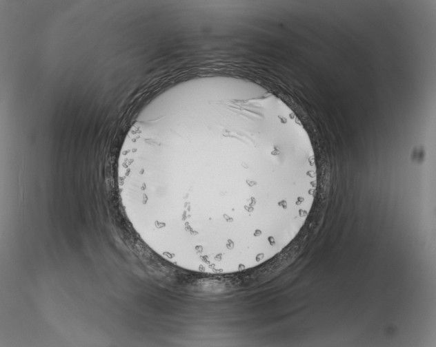 X0000115480272200912181215