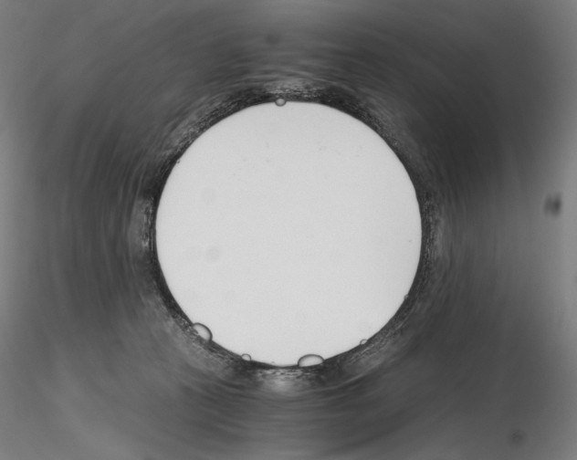 X0000115480273200912181215