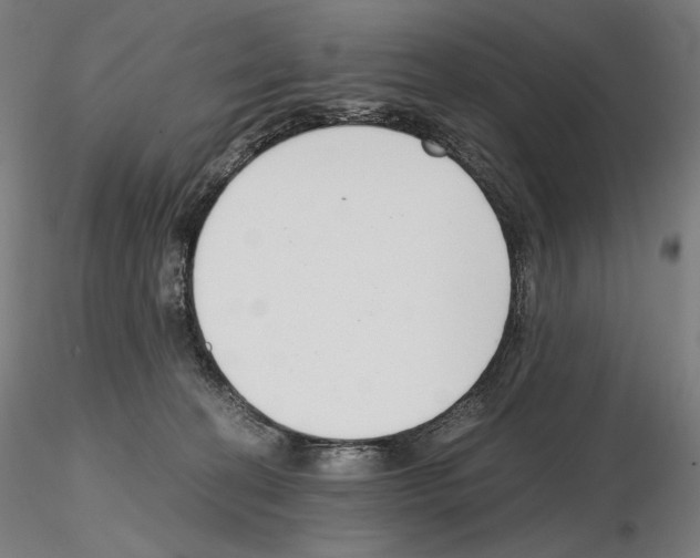 X0000115480274200912181215