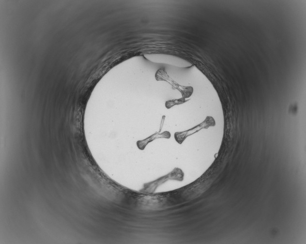X0000115480277200912181215