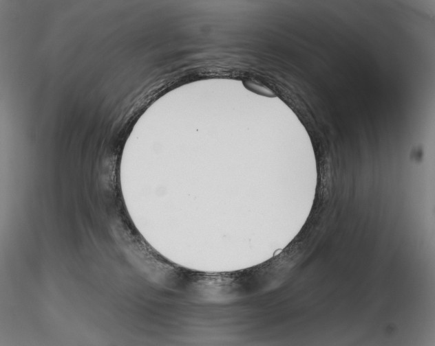 X0000115480278200912181215