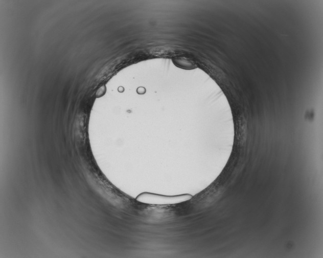X0000115480280200912181215