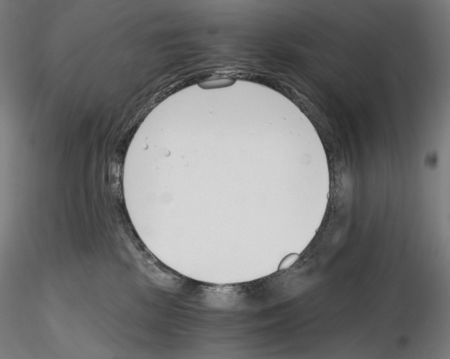 X0000115480281200912181215