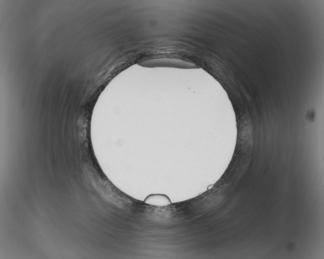 X0000115480282200912181216