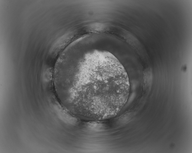 X0000115480284200912181216