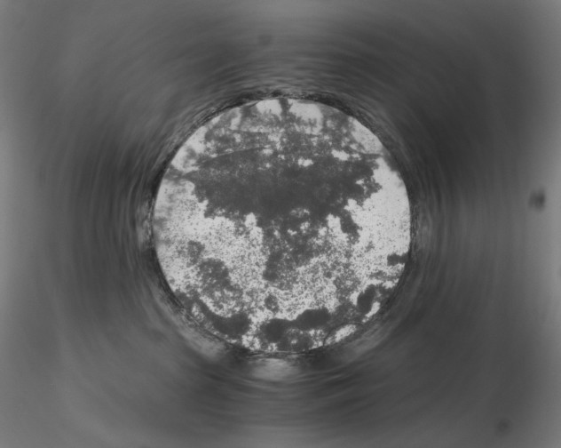X0000115480285200912181216