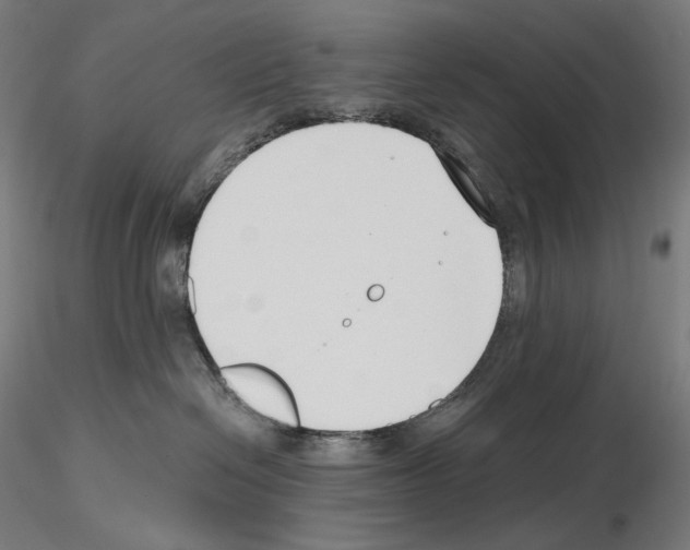 X0000115480286200912181216