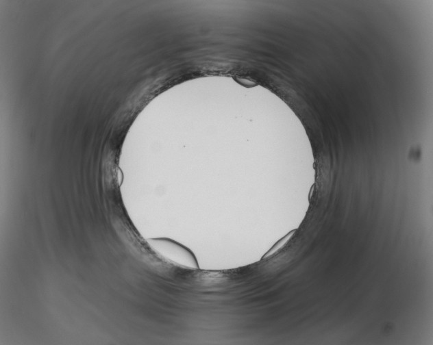 X0000115480287200912181216