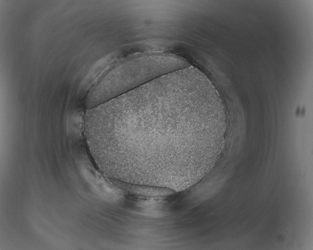 X0000115480288200912181216