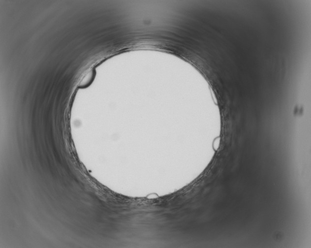 X0000115480289200912181215