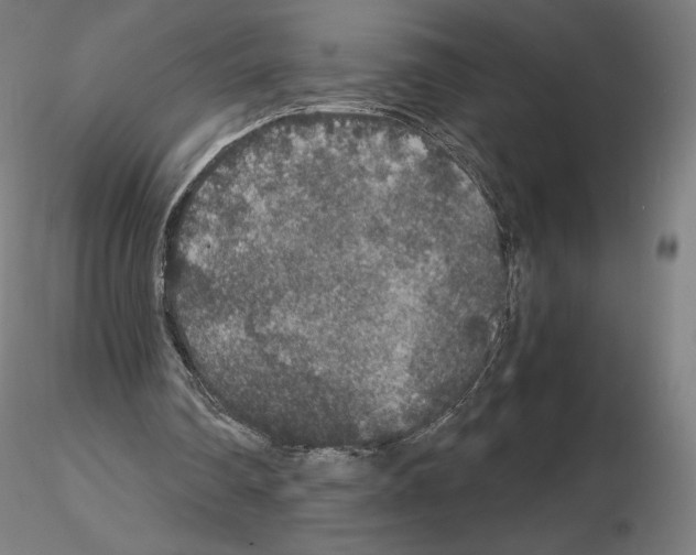 X0000115480290200912181215