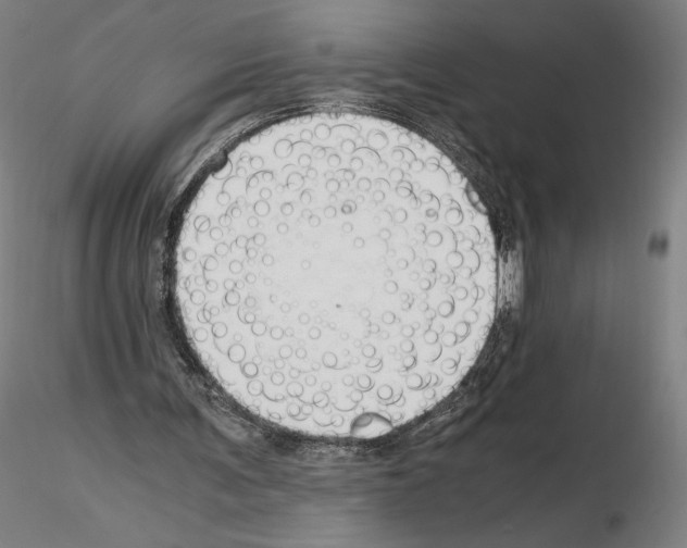 X0000115480291200912181215