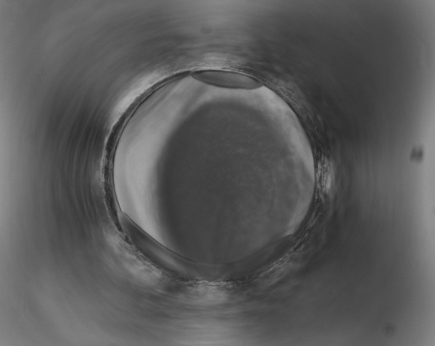 X0000115480292200912181215