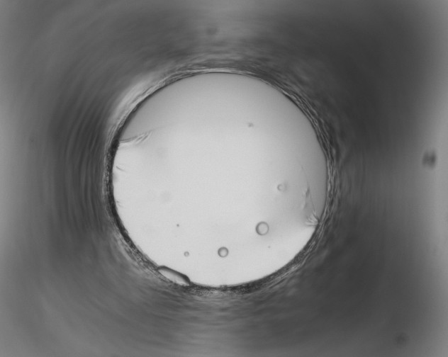 X0000115480293200912181215