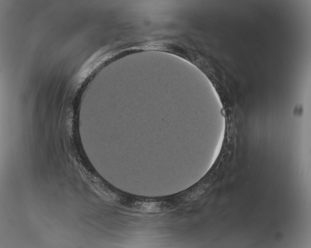 X0000115480295200912181215