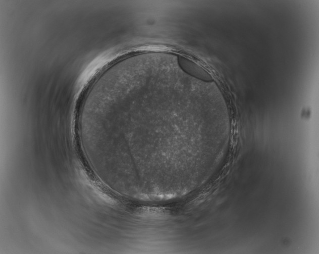 X0000115480296200912181215