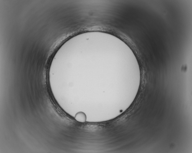 X0000115480298200912181215