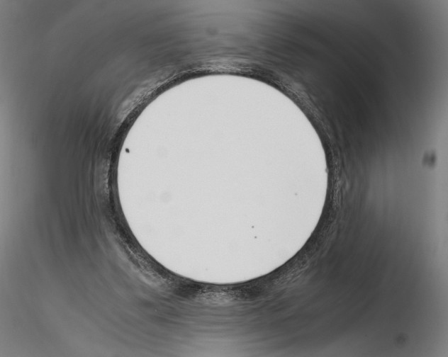 X0000115480299200912181215
