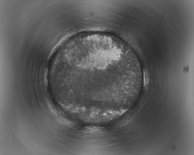 X0000115480300200912181215