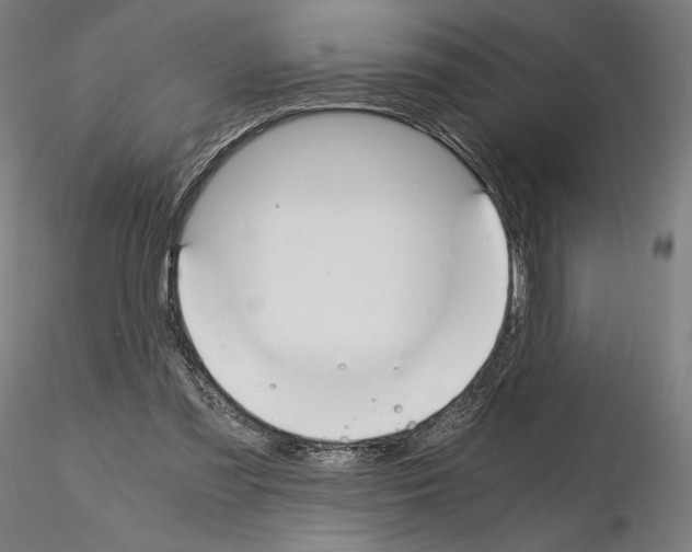 X0000115480301200912181215