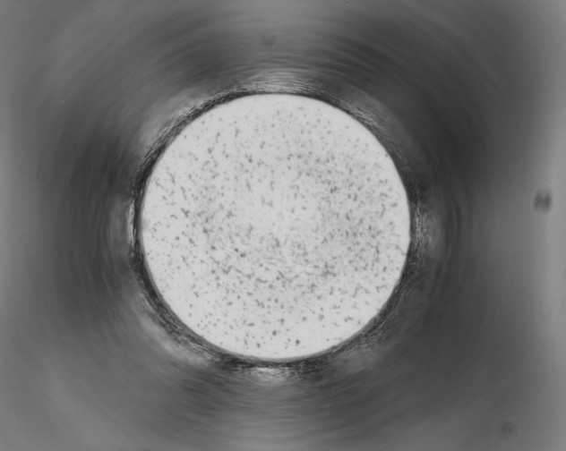 X0000115480302200912181215