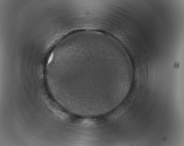 X0000115480303200912181215