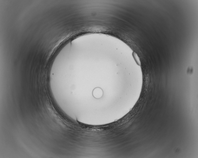 X0000115480304200912181215