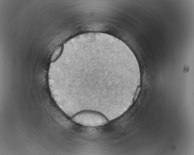 X0000115480305200912181215