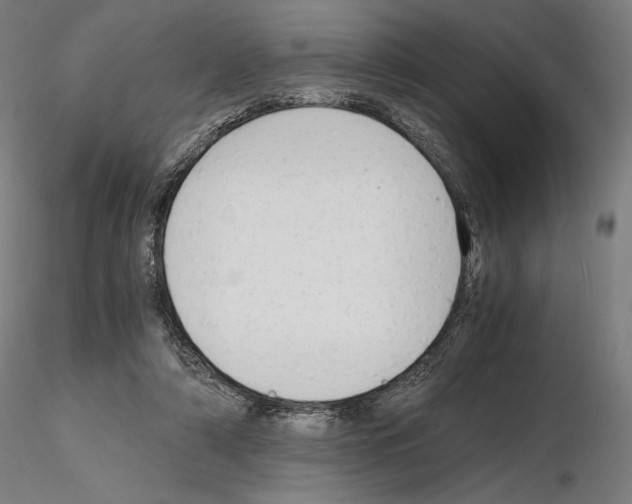 X0000115480306200912181215