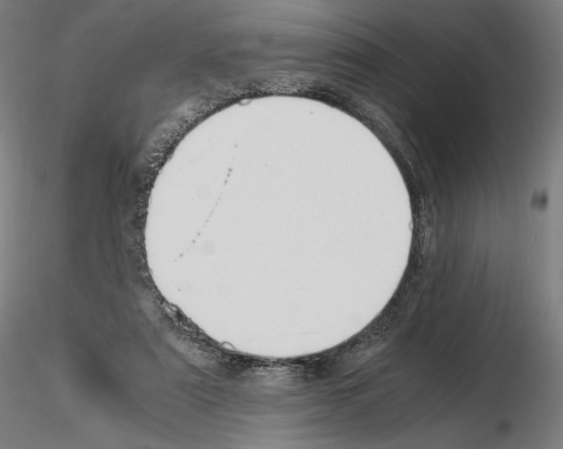 X0000115480307200912181215