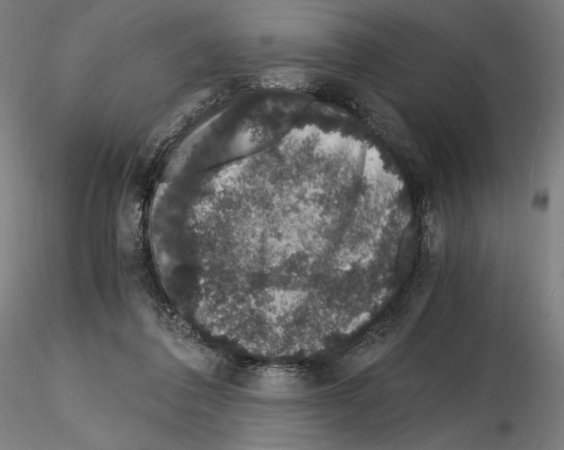 X0000115480308200912181215
