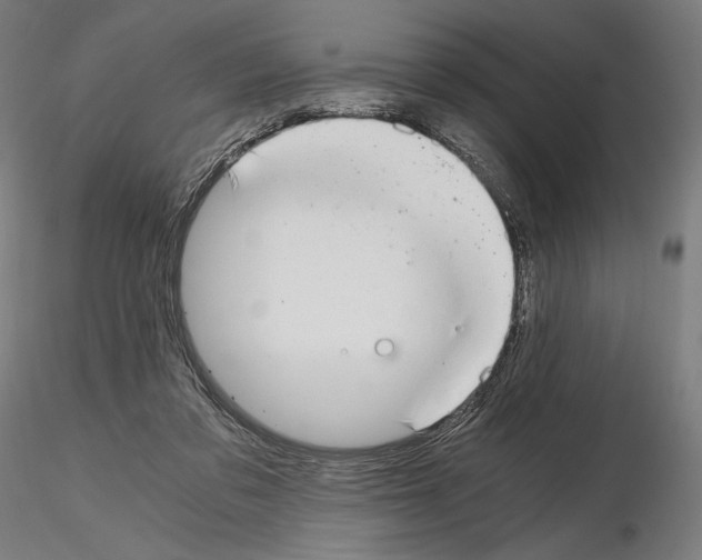 X0000115480309200912181215