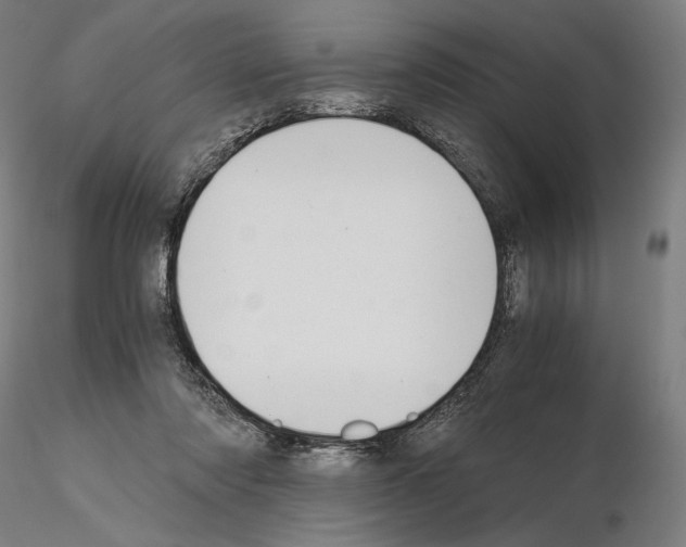 X0000115480310200912181215