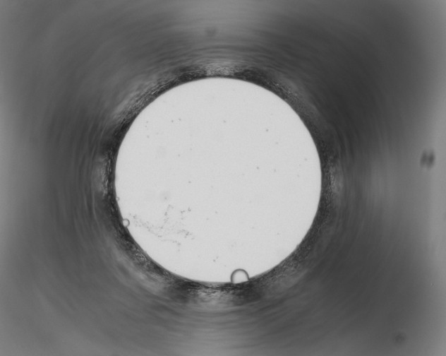 X0000115480311200912181215
