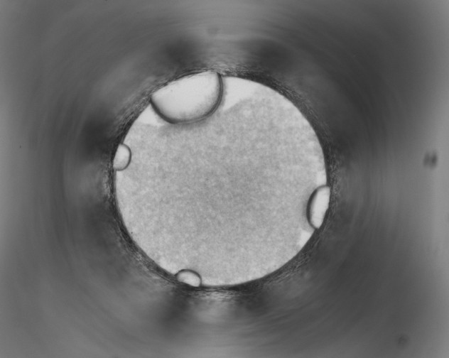X0000115480313200912181215