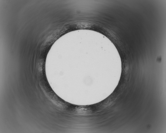 X0000115480315200912181215