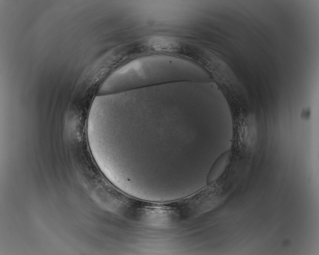 X0000115480316200912181215