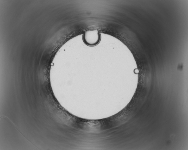 X0000115480317200912181215