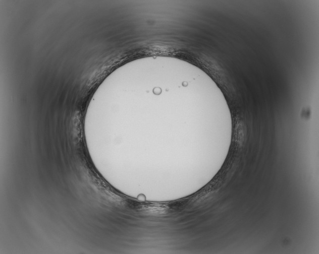 X0000115480318200912181215