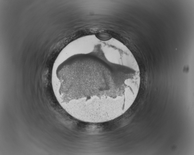 X0000115480319200912181215