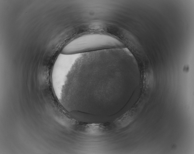 X0000115480320200912181214