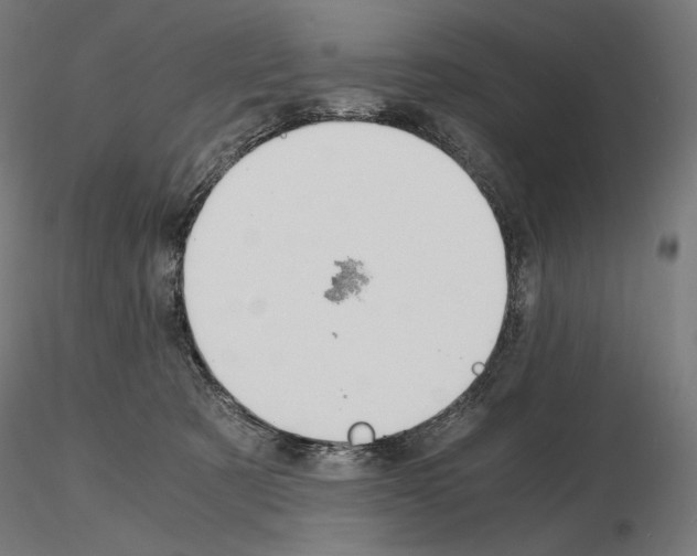 X0000115480321200912181214
