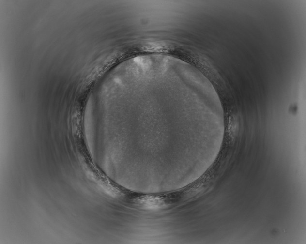 X0000115480322200912181214
