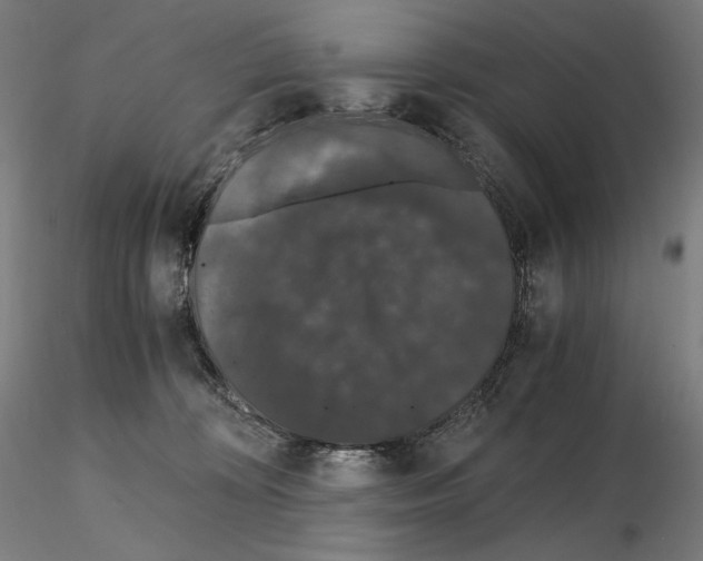 X0000115480324200912181214