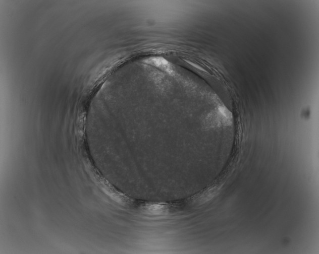 X0000115480325200912181214