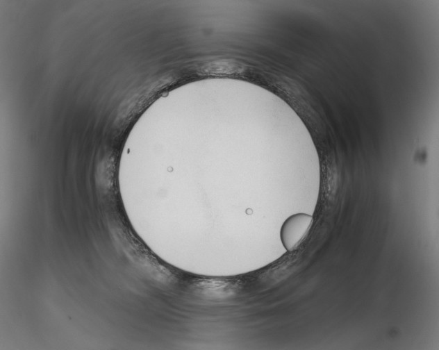 X0000115480326200912181214