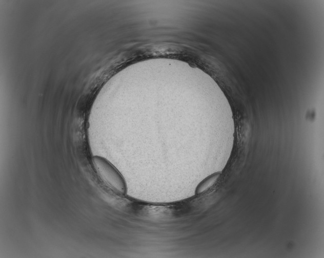 X0000115480327200912181214